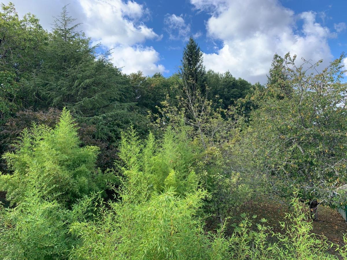 L'Albizia Leilighet Seigy Eksteriør bilde